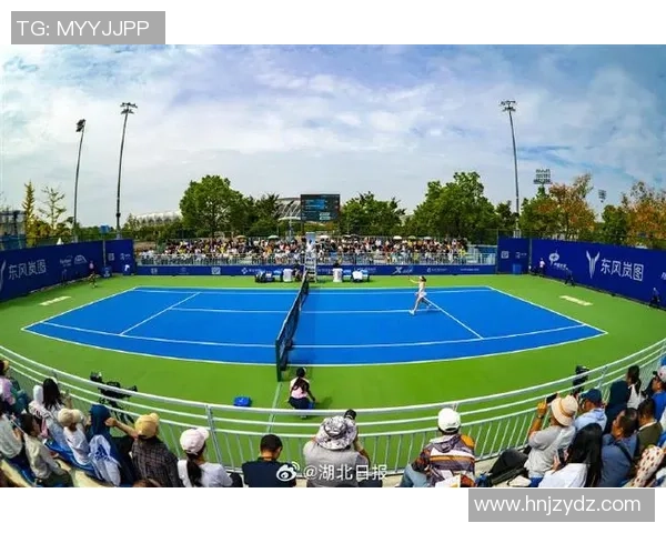 武汉网球队总决赛背后的奋斗故事与荣耀时刻